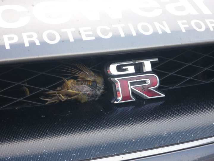 #nissangtrr35
