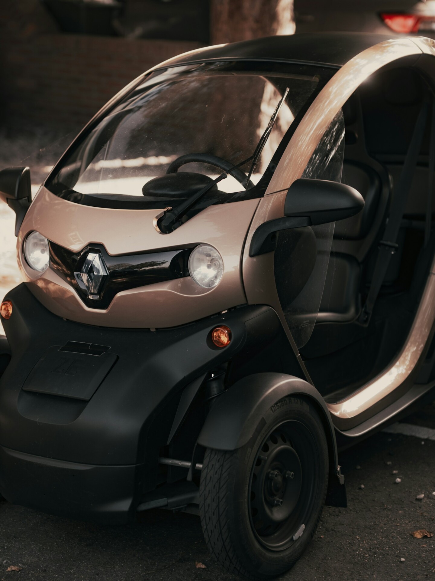 The Twizy doesn't actually have a heater, so Renault's official "solution" for winter driving was literally selling an o